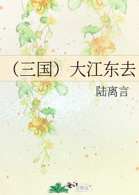 (三國)大江東去