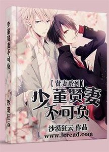 少董賢妻不可負