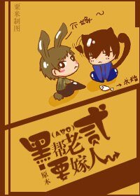 南家小贰要嫁人/黑帮老贰要嫁人